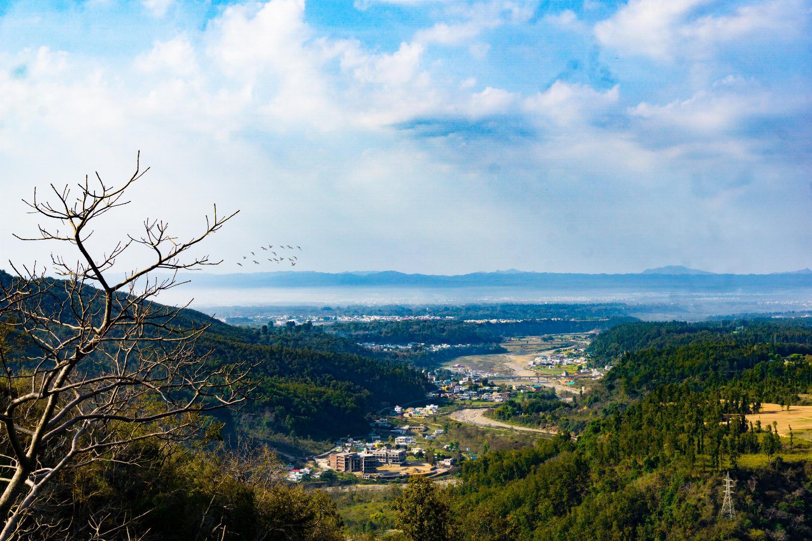 Top 10 Reasons Why NRIs Should Settle in Dehradun